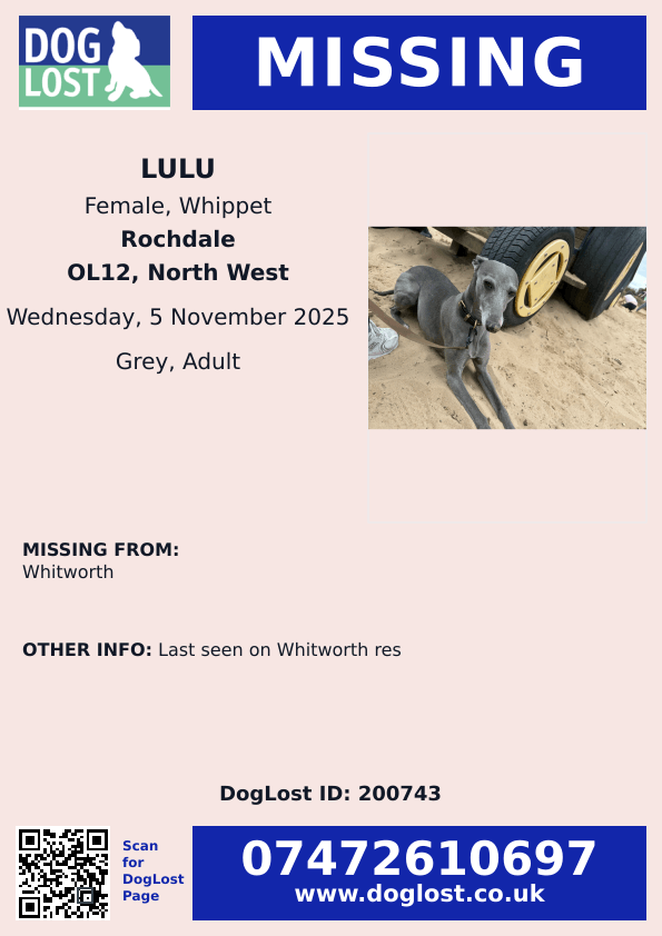 MissingPetsGB's tweet photo. #stolendoghour still #missing
LULU disappeared 5 November 2025 Whitworth #Rochdale #OL12

""Lulu hasn’t been seen since the night she went missing. If you have seen, taken her in or bought her please let her come home. We are really missing her &amp; we know she will be missing us." https://t.co/TwZ4rK0LWJ