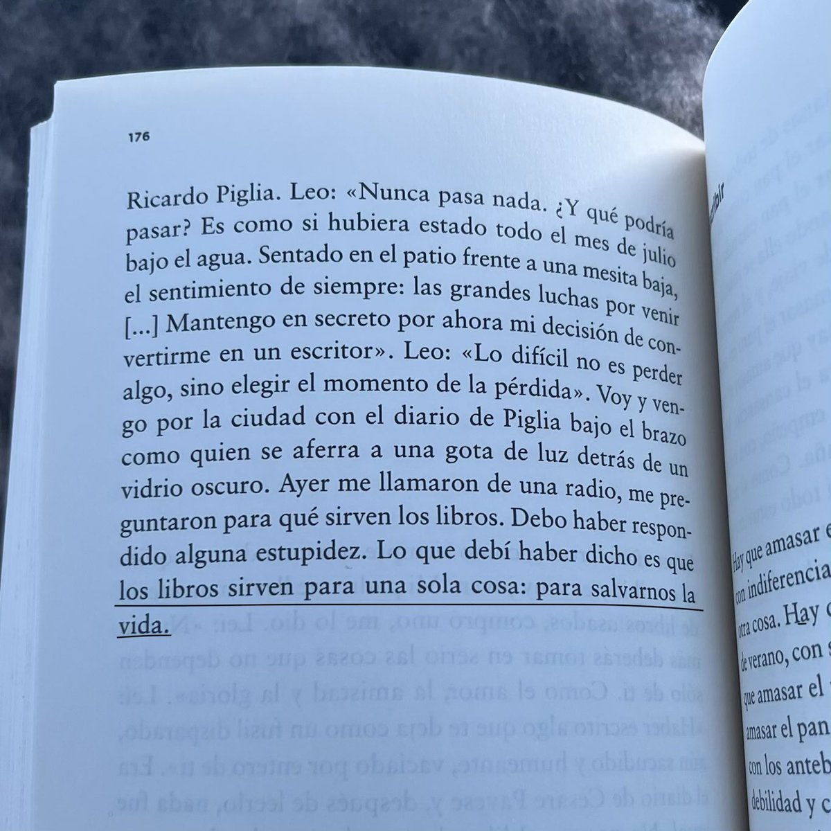 sofiazyska's tweet photo. te adoro Leila https://t.co/kCCrV2pUeQ