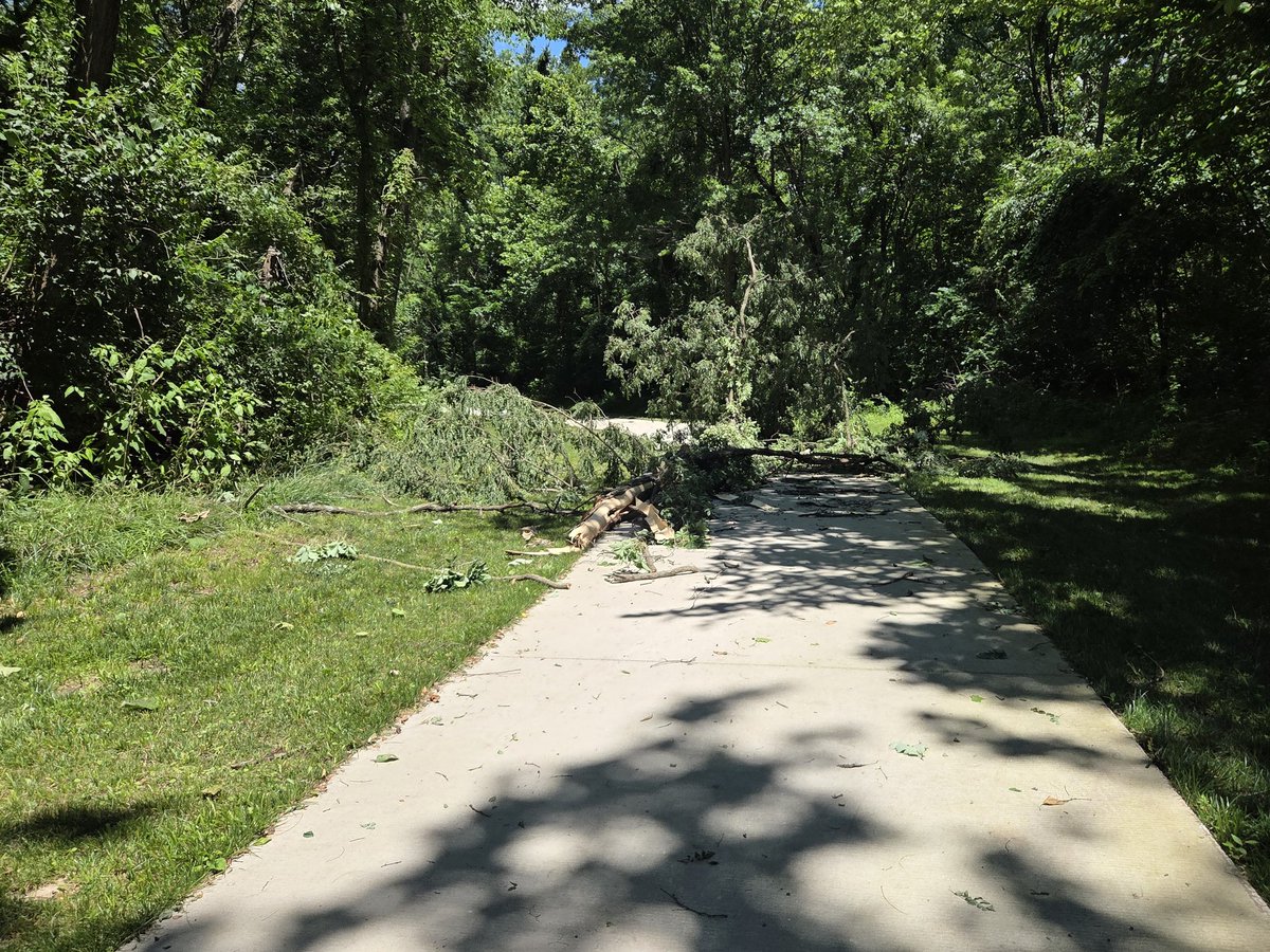 cptron17's tweet photo. First workout since last weeks Ironman. Trails had downed trees from last nights storms. https://t.co/dqaXi9UO4F