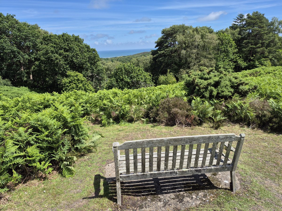 PhilSipocz's tweet photo. After a long "uphill slog" we nanged to conquer the highest point in #Norfolk & indeed East Anglia. Beacon Hill & the whole 102 Metres of it on the Cromer Ridge. #perilous #gripping #adventure we did see an adder though. https://t.co/DbJdFXk2vI