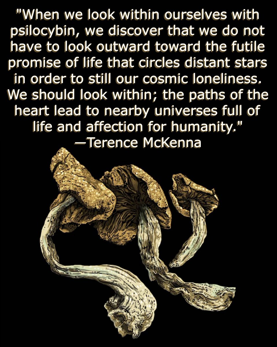 APsychedelics's tweet photo. Classic Terence McKenna psilocybin quote 🍄‍🟫 Art by Nico Rosenfeld https://t.co/LceCGkXjfp