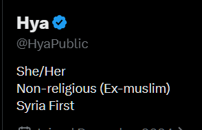 IRBiH tweet media