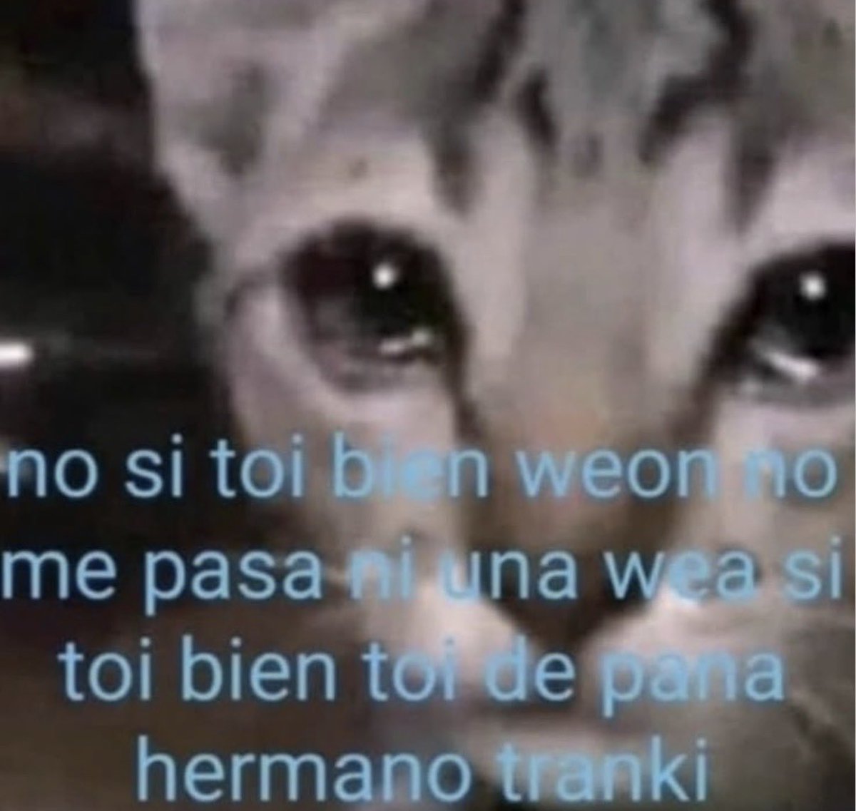 ladaniiiiiiiii's tweet photo. Yo hoy: https://t.co/N3KACrCpTD