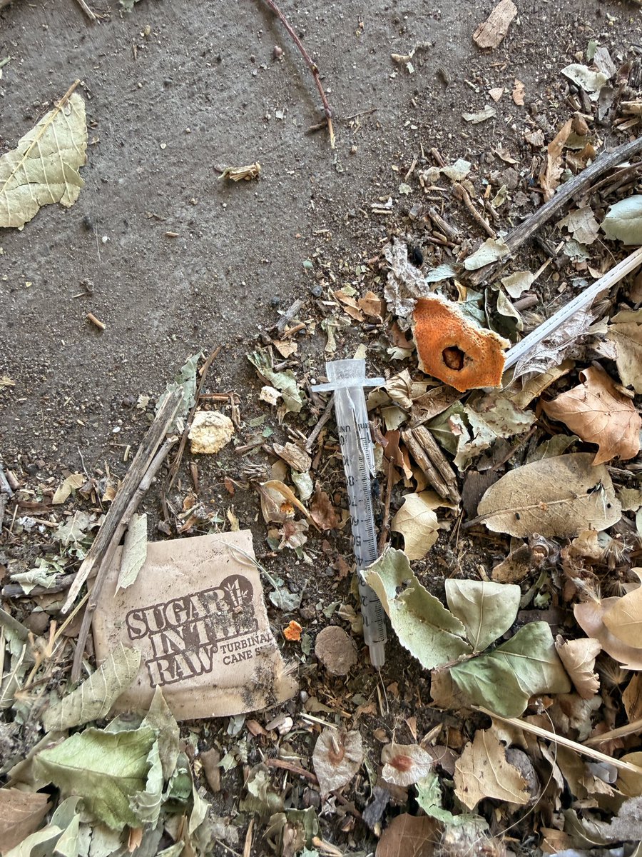 SacWalkSafe's tweet photo. Day 88/100 #ThisIsNotNormal Trash Dash at McKinley Park and got 💉and saw piles of 💩 and vomit on the underpasses kids walk to school, park, library and the Clunie Pool.  @MayorMcCarty @pluckebaum https://t.co/1fCoAilnZy