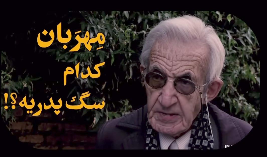 Mobinamoj's tweet photo. شما آقای مهربان نیستین مگه؟
مهربان کدام سگ پدریه؟ من مهربان بودم... https://t.co/gzUG8vnQba