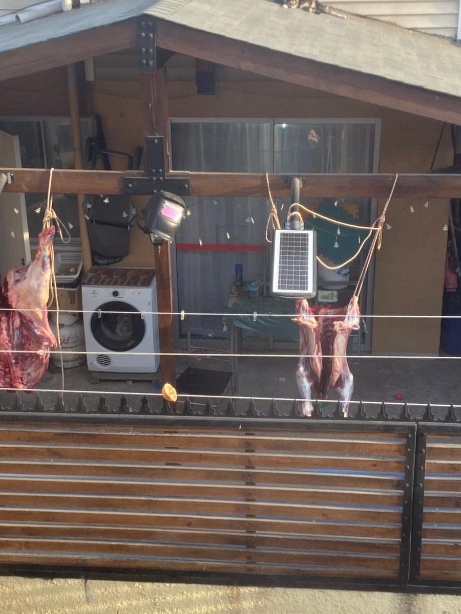 pepamoore's tweet photo. Que se puede hacer con este espectáculo que hoy deben precenciar mis hijos, y no es primera vez. 
@mpuentealto. Mi hija fue a cerrar la ventana de su pieza y ve esto, y se le revolvió el estómago. Creo que no vivimos en una parcela y menos tenemos que precenciar esto. https://t.co/YlkjUH2t9n