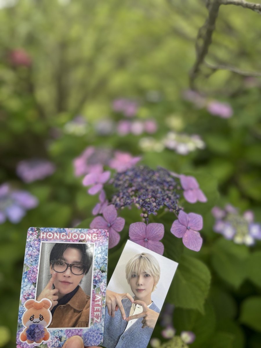 37miD's tweet photo. @KTEEZ1107 ちゃんからの紫陽花ケース
紫陽花チャレンジ💗
@yusan49710 ちゃんの🐥ケース口可愛い(•ө•)♡
@JJOONGramika ちゃんの🐿ケースはマリーゴールド💕
みんな可愛くてお花が似合う💕 https://t.co/K72D5T8IhE