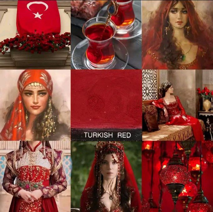🇹🇷Umay Osmanoğlu tweet media