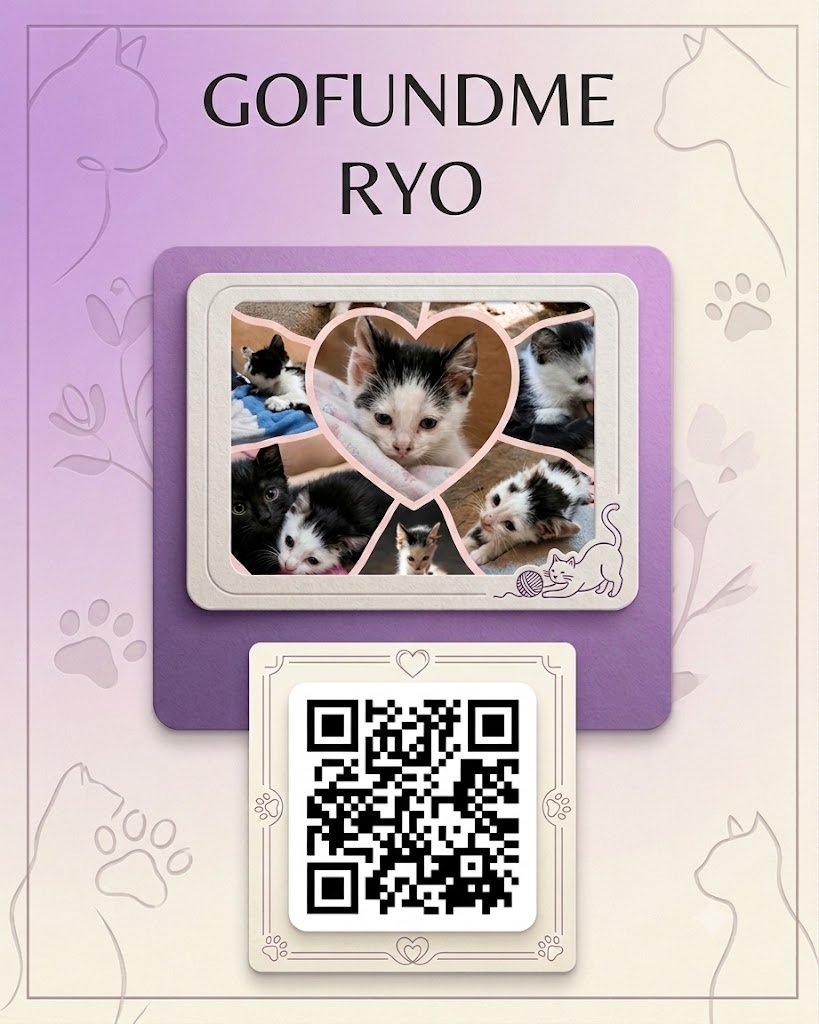 Boantek's tweet photo. Hola gente de Twitter ❤️ Hoy a las  20 hs haré un directo benéfico para mi amiga @_idkmar_ .

Uno de sus gatitos, Ryo, está en mal estado y necesita ayuda para costear sus operaciones. Si no pueden donar no importa, pero compartir y difundir este mensaje nos ayuda muchísimo. ¡Mil gracias a todos de corazón! 🐾✨

📺 Los espero en: https://t.co/KmUHsQctEg👉 GoFundMe para Ryo: https://t.co/vtKQaNYMBA