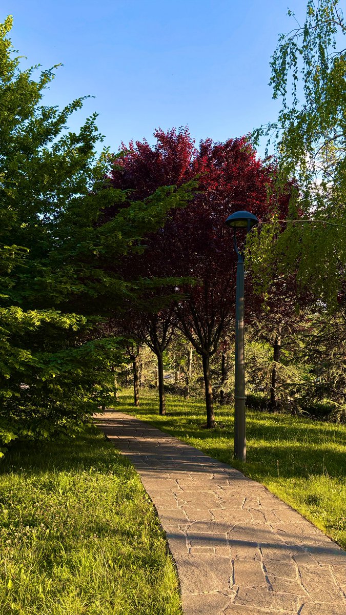 tersaycicegi's tweet photo. Ankara ve parkları 🍀 https://t.co/WscKxwbO3n