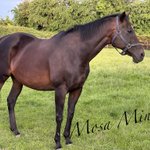 Photo by Kelly Thomas (@maywoodstud)