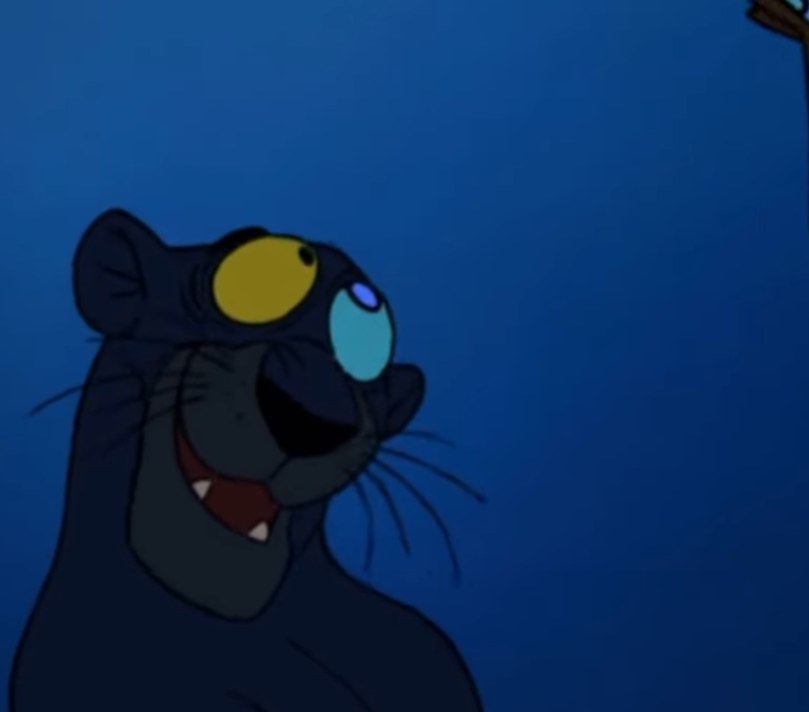 junglemancub's tweet photo. So obsessed with how helpless Bagheera looks asfjaddsfjafss https://t.co/ziU0nFwviN