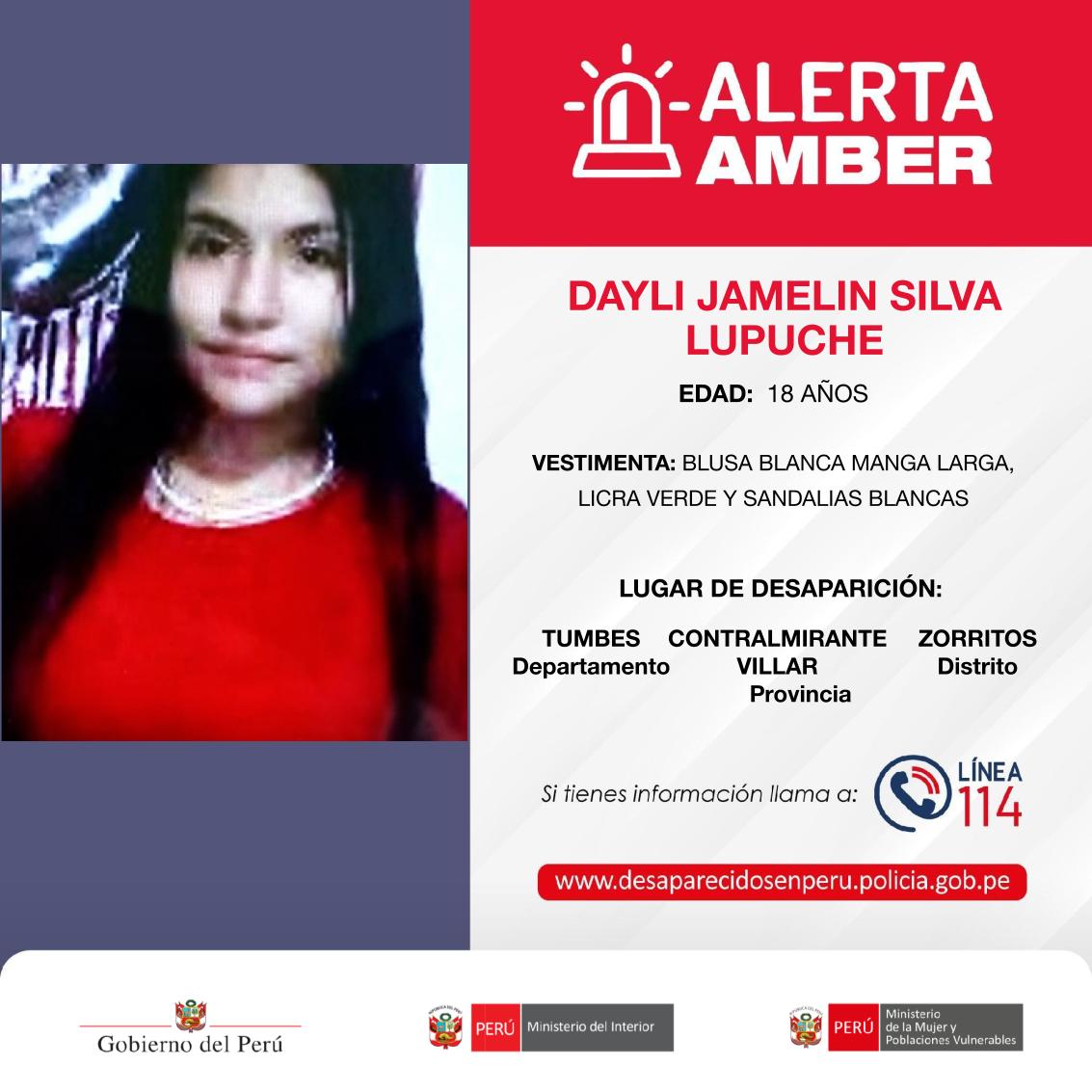 MimpPeru's tweet photo. #AlertaAmber 🚨Han desaparecido:

▶️ El niño LUCAS ADRIAN SEGUIL CÓRDOVA de 7 años.
▶️ La adolescente DAYLI JAMELIN SILVA LUPUCHE de 16 años.
▶️ El señor JORGE ALFREDO FEBRES FLORES de 32 años. 
▶️ El señor JOSE LUIS IZAGUIRRE ROMERO de 55 años. 
▶️ La joven LIA MARIELY PALOMINO HUAMAN de 18 años. 
▶️ La joven MARY LUZ VASQUEZ CUTI de 19 años. 
▶️ La joven CLEIDA CRILEY AVILA MODESTO de 23 años.
▶️ El señor ROGELIO HUANACUNI CHURA de 61 años.
 
Si tienes información sobre sus paraderos, comunícate con la Línea 114. 

🔁 Comparte y ayúdanos a encontrarlas y encontrarlos.
#DesaparecidosPerú