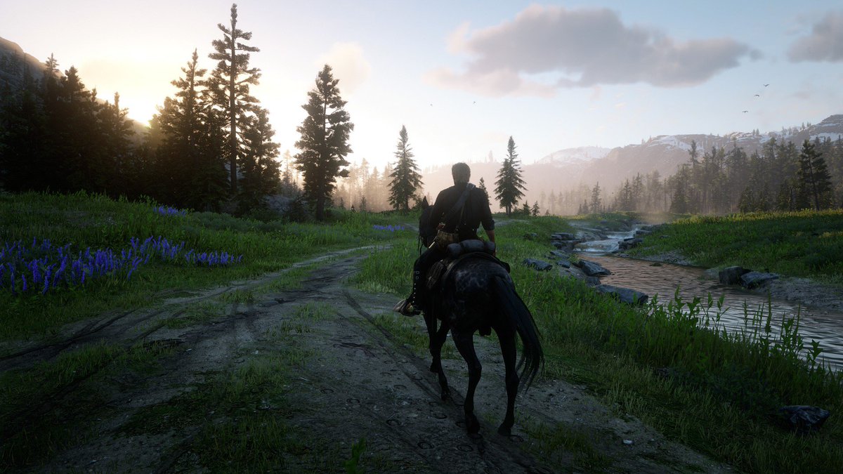 skippy_sur's tweet photo. West Elizabeth
#RockstarGames #RDR2 #RedDeadRedemption2 #ArthurMorgan https://t.co/n7h0DAst8N