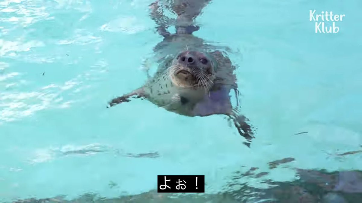 219_mori's tweet photo. 朝ラン全勝 https://t.co/0ESzj2vIBJ