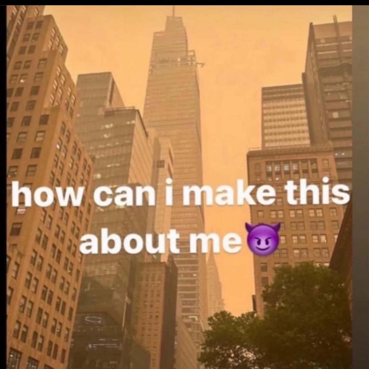 Matt tweet media