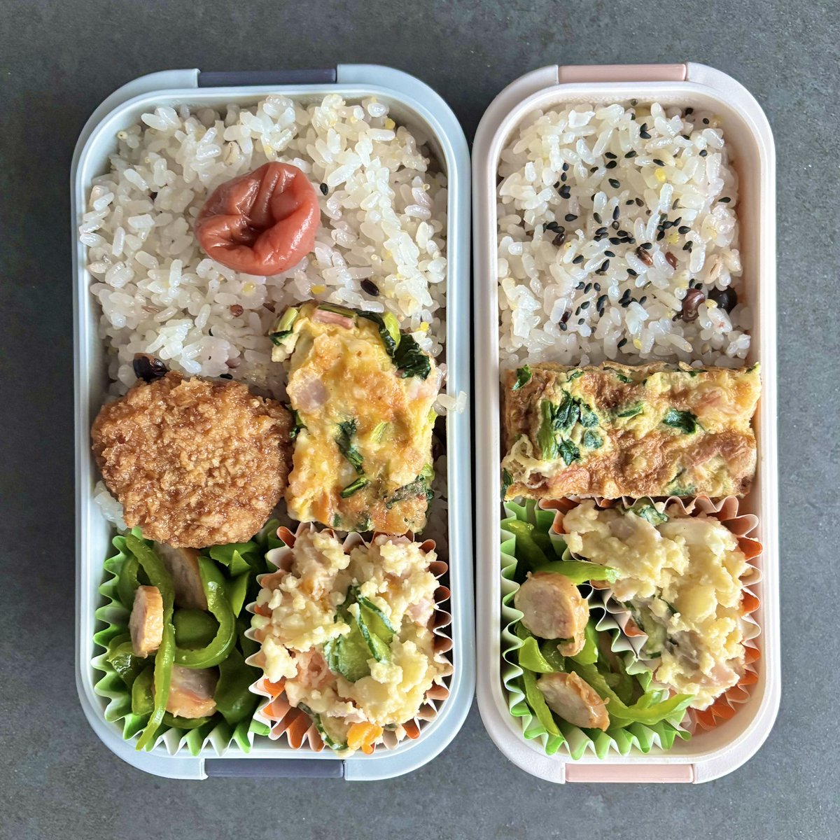 tumaotogohan's tweet photo. 今日のお弁当
・小松菜チーズオムレツ
・メンチカツ
・ピーマンのコンソメ炒め
・ポテトサラダ

#旦那ごはん　#旦那弁当　#嫁弁当 https://t.co/V4uLtft4Dp