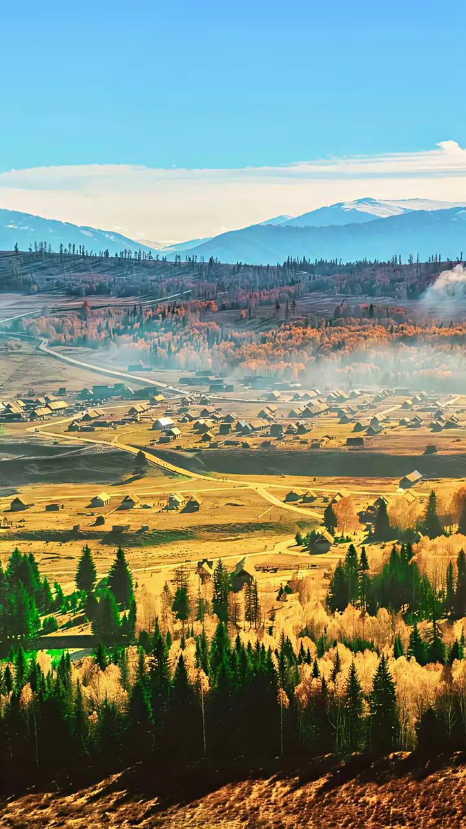 ramankumar_62's tweet photo. Woke up to fresh pine air and misty mountain views at the campsite—best way to escape the city buzz ， https://t.co/VX1grT8Ta6