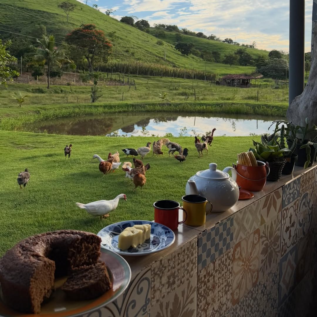purelivn's tweet photo. country life https://t.co/0PlDc4eQIF