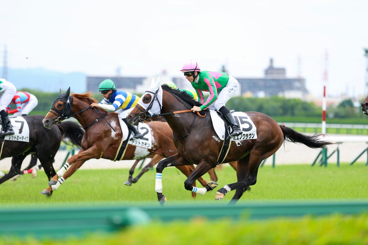 Orfe20122013's tweet photo. Damian Lane🇦🇺 &amp; Mieno Crown🐎
June 14, 2026, HANSHIN 4R
2200m, Turf, 3-Year-Olds, Maiden, 9th https://t.co/zxtCqcjaCT
