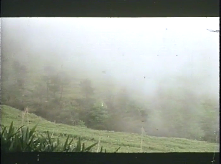 TragicExorcist's tweet photo. Madeira brume... 😶‍🌫️ https://t.co/ha7dZs042t