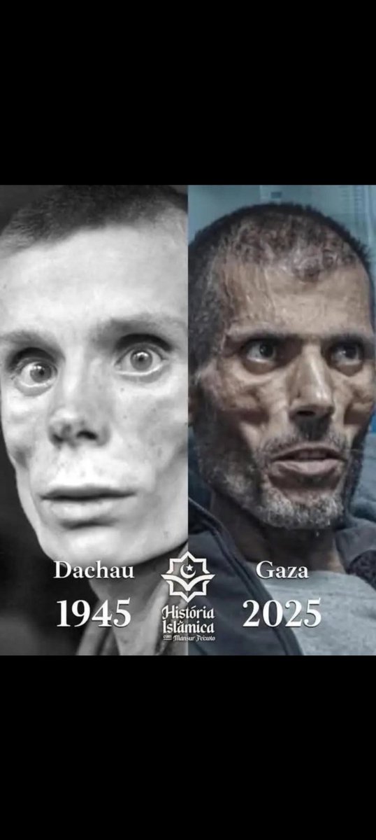 DANNYSDUGMURPHY's tweet photo. @myzccc @Laptopandcat IF ITS NOT GENOCIDE WAS IT A HOLOCAUST THESE IMAGES LOOK THE SAME https://t.co/6LRUJNKhk5