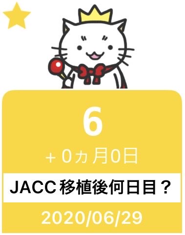MorizoSakura's tweet photo. JACC 移植から6年。あれから6年なのか。そんなに時間が経ったのか。

リハビリ、トレーニングをして6年。そう考えると長いw

今でもわずかに右肩上がりで回復中。

まぁ…色々あったけれど、あの時の決断は正しかった。関わって下さった方々に感謝😊

#JACC #自家培養軟骨移植 https://t.co/zyPqvpzh6G
