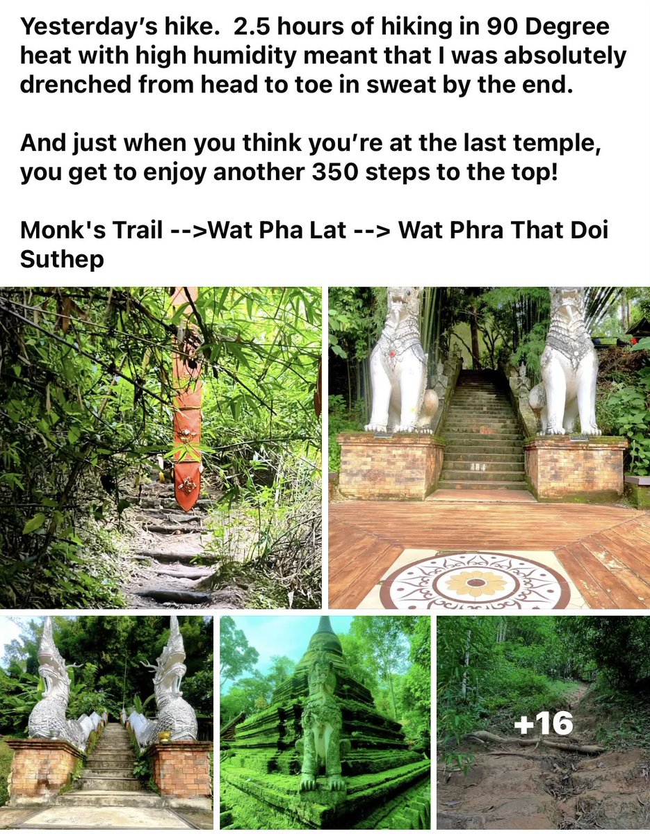 GordonsGecko's tweet photo. @madfientist In my memories feed TODAY... from my 2 months in Thailand in 2024.  Cosmic coincidence...🤣🤣 https://t.co/gSIIU4PWEf