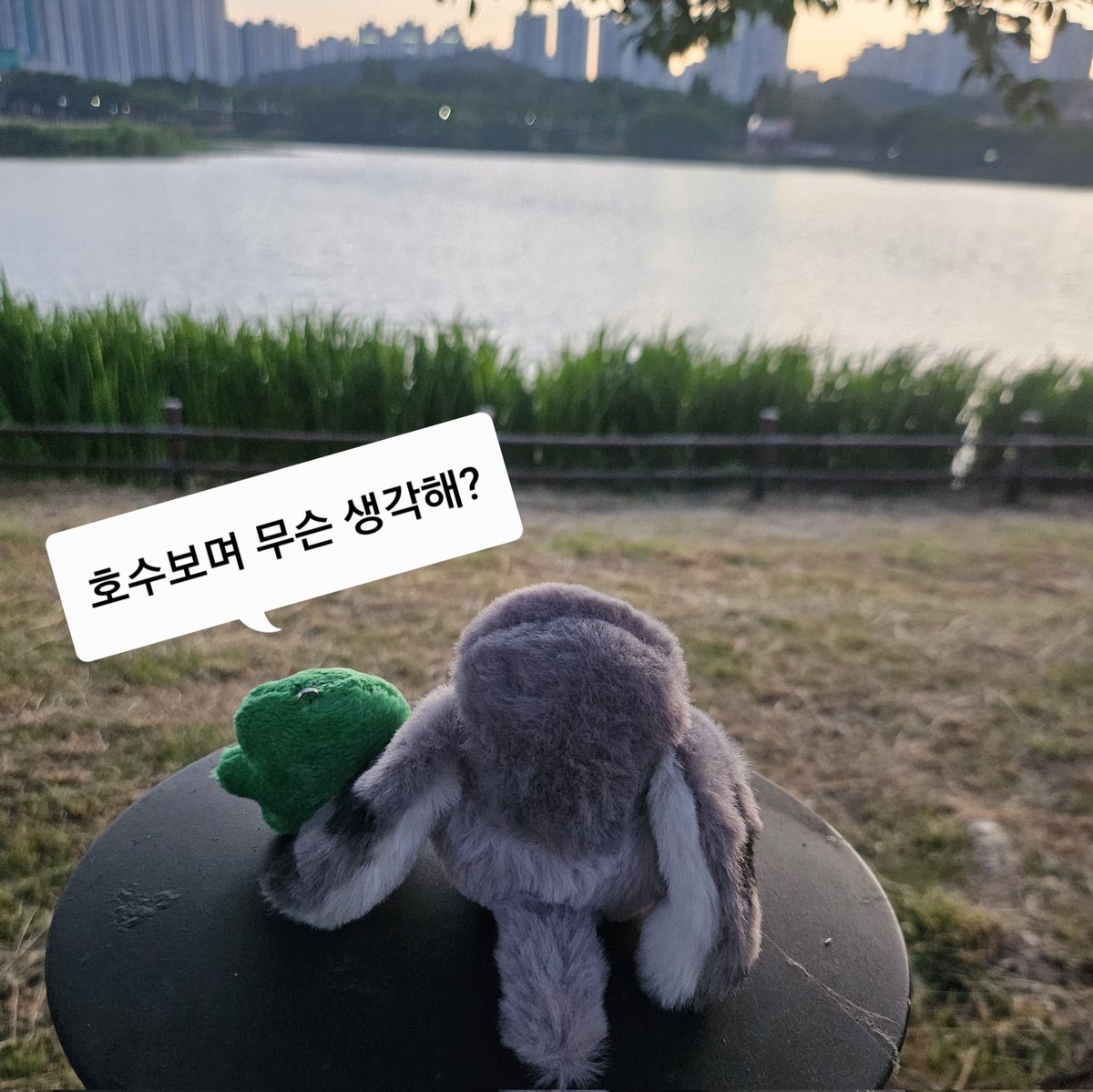 tuldulgi's tweet photo. 털둘기의 눈물이 호수가되어ㅠㅠ https://t.co/HRfwS8M1Qc