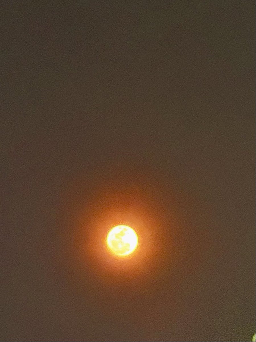 mrhoneylime's tweet photo. Full Moon 

Lihat didepan rumah https://t.co/lCwBiGJMWo