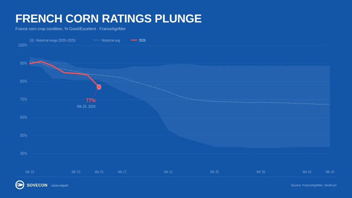 sizov_andre's tweet photo. French #corn ratings dropped to the lowest in recent years last week - and two things to keep in mind:

This reflects plant conditions as of Monday only. The main heat came later, so expect another big drop in the next update.

Temperatures are expected to remain elevated through the first half of July.

The worst may not be in the data yet.

#oatt #agwx #sizovreport