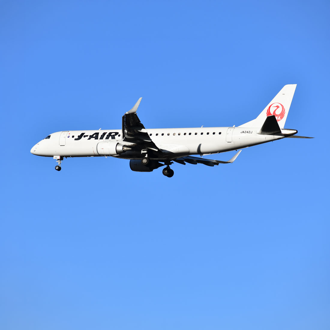 JAL_Official_jp's tweet photo. ＼数量限定‼️／
山口宇部空港開港60周年記念✨
“特別”な「御翔印」を販売✈️

7月1日13時～山口宇部空港1F
プレミアムショップ(Yショップ)で販売開始！

中央の朱印は〇〇をイメージ🫣
通常とは異なるデザインを
お楽しみください❣️

○○をチェック🔎
⇒https://t.co/3RRajl65a0

お求めはお早めに😉 https://t.co/sEYgcpFxa5