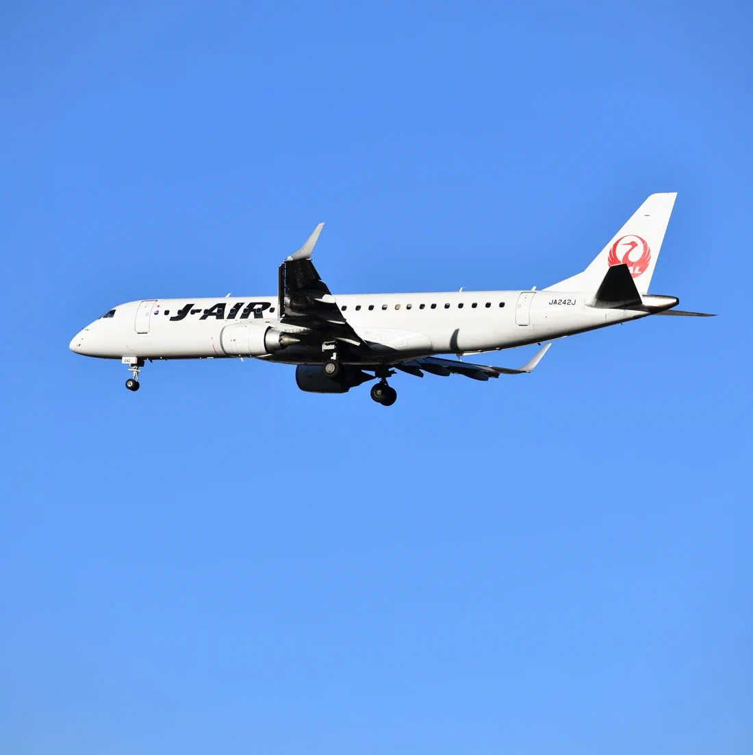 JAPAN AIRLINES【JAL】 on X: 