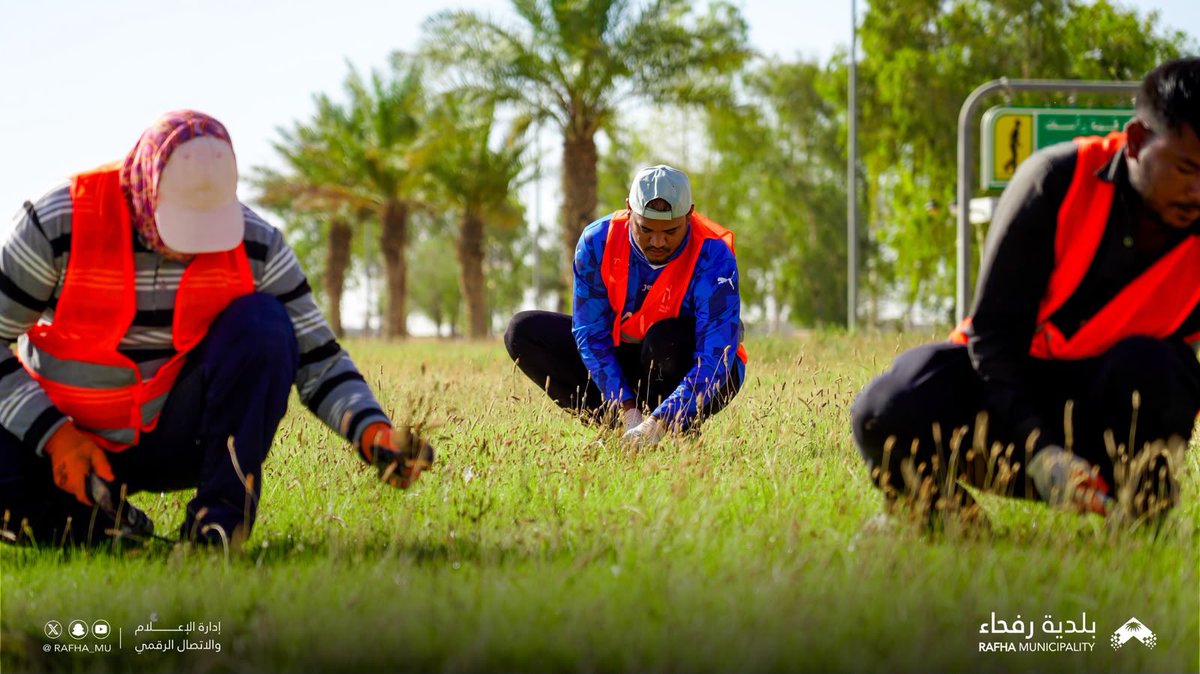 Rafha_Mu's tweet photo. 📸| 

جمال المدينة يبدأ من العناية بتفاصيلها. 🌱
تواصل #بلدية_محافظة_رفحاء 
أعمال قص المسطحات الخضراء وإزالة الحشائش ضمن برامج الصيانة الدورية الهادفة إلى تحسين المشهد الحضري والمحافظة على جودة المرافق العامة . https://t.co/PF63XZDG1N