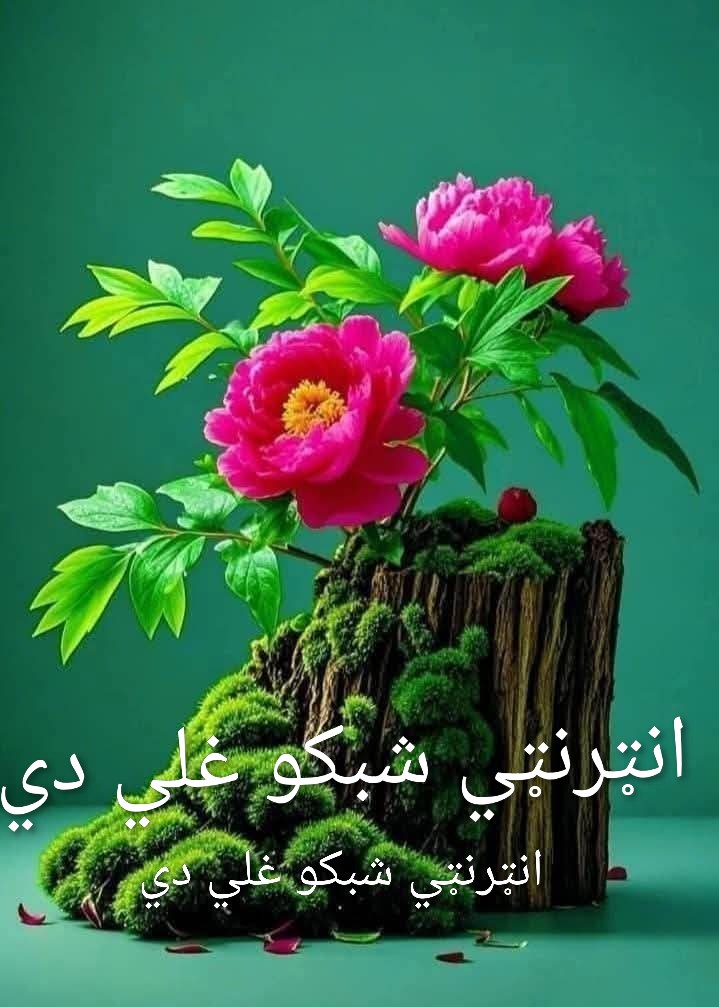 MslimyarS's tweet photo. شبکي غلي دي البته دمخابراتو شبکي.... https://t.co/OiDuKxA0BY
