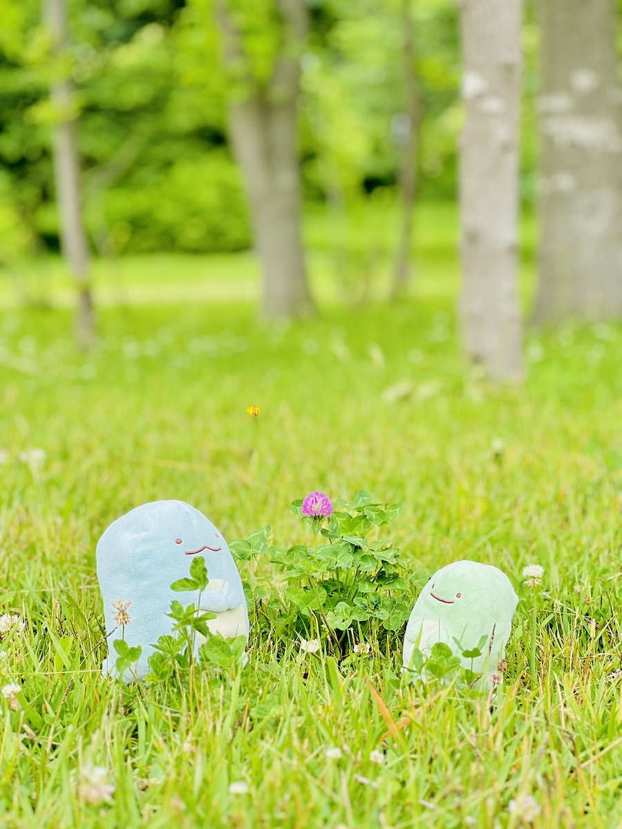 marulife_log's tweet photo. 今日はとかちゃんたちと一緒にピクニック🌿

手作りサンドイッチを持って、公園でのんびりしました☺️

風が気持ちよくて、すごく癒された休日でした🍀 https://t.co/B5CKzPjPPg