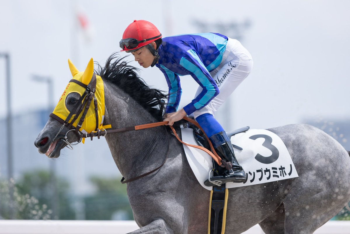 HOKARIstable's tweet photo. 大井競馬 第5回 
6/29 第1日1R
シンプウミホノ🏇加藤雄真騎手
11着
ミホノちゃん、マイメンコで挑んだんですが、、、😭 https://t.co/M1K88ZxMsP