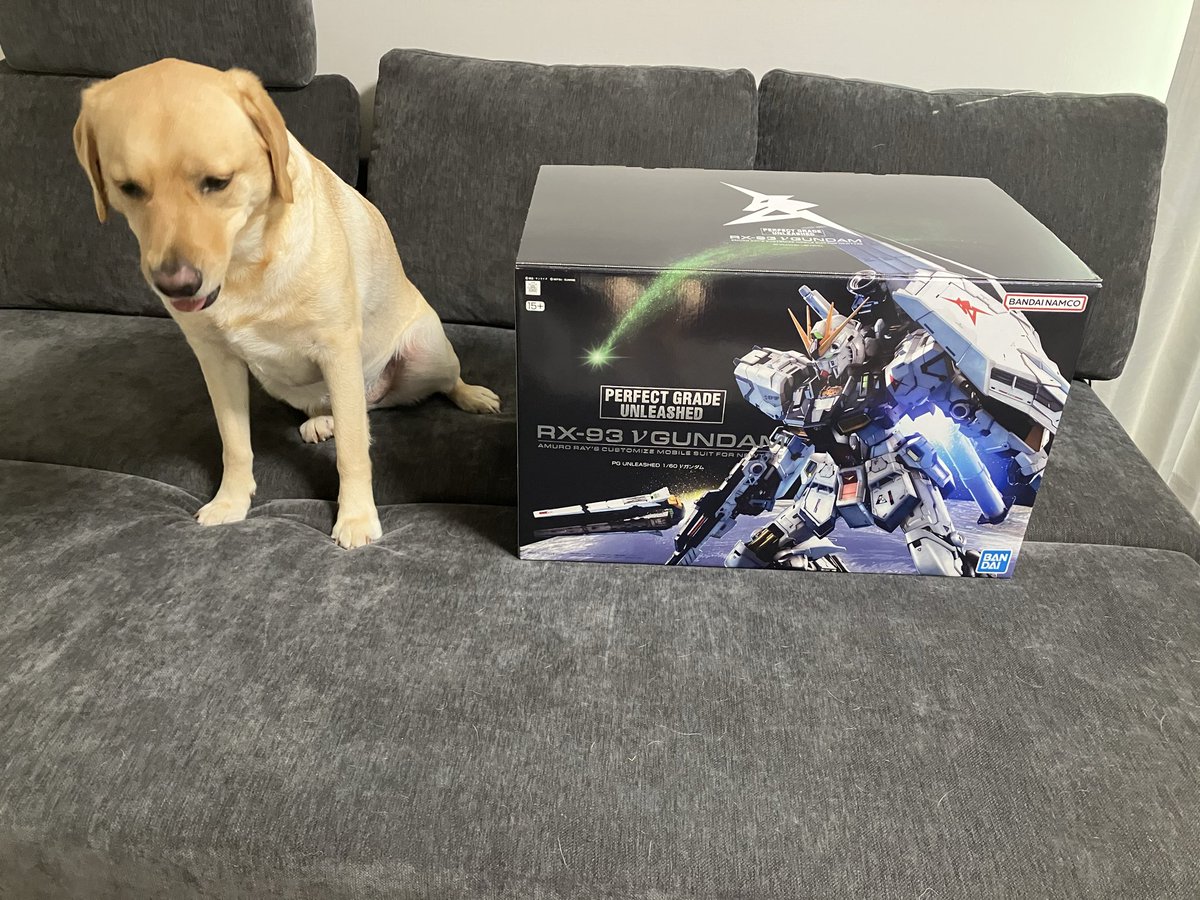 dakusuke1's tweet photo. PGU νガンダム届いたぁああああ
パーツ多ッ https://t.co/ESpboVVpUb