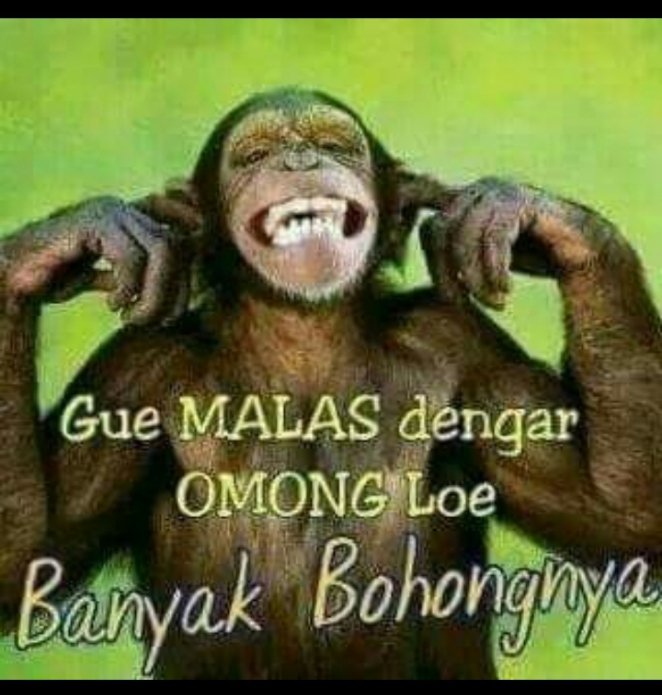SyamArning's tweet photo. @MayaA62580468 https://t.co/52gtgjbRxb