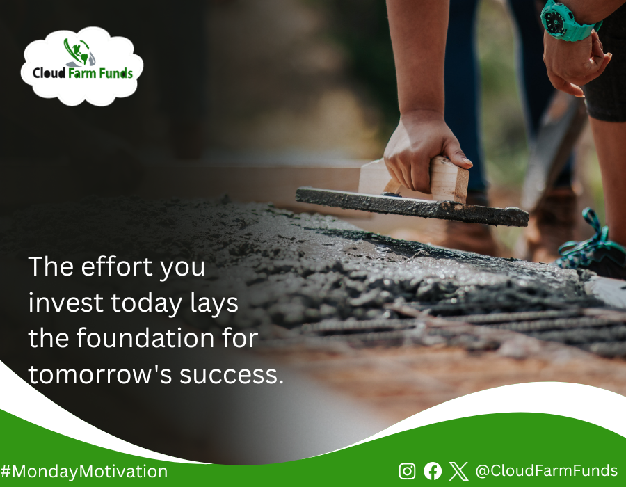 cloudfarmfunds's tweet photo. The effort you invest today lays the foundation for tomorrow's success. May your work be fruitful, your efforts be rewarded, and your heart remain hopeful. Wishing you a blessed and successful Monday. Amen. 

Happy New Week

#MondayMotivation
#Cloudfarmfunds https://t.co/jDgcxIFJkO