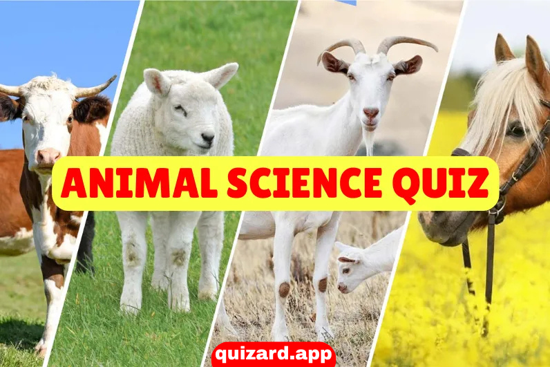 QuizardApp's tweet photo. 🐾 From mammals to marine life...
How much do you know about animal science? 👇
https://t.co/nd5wZIQ8mF
#Quizard #AnimalScience #animaloftheday #animalcafe #Wildlife #AnimalLovers #NatureLovers #trending https://t.co/Orndcwk46K