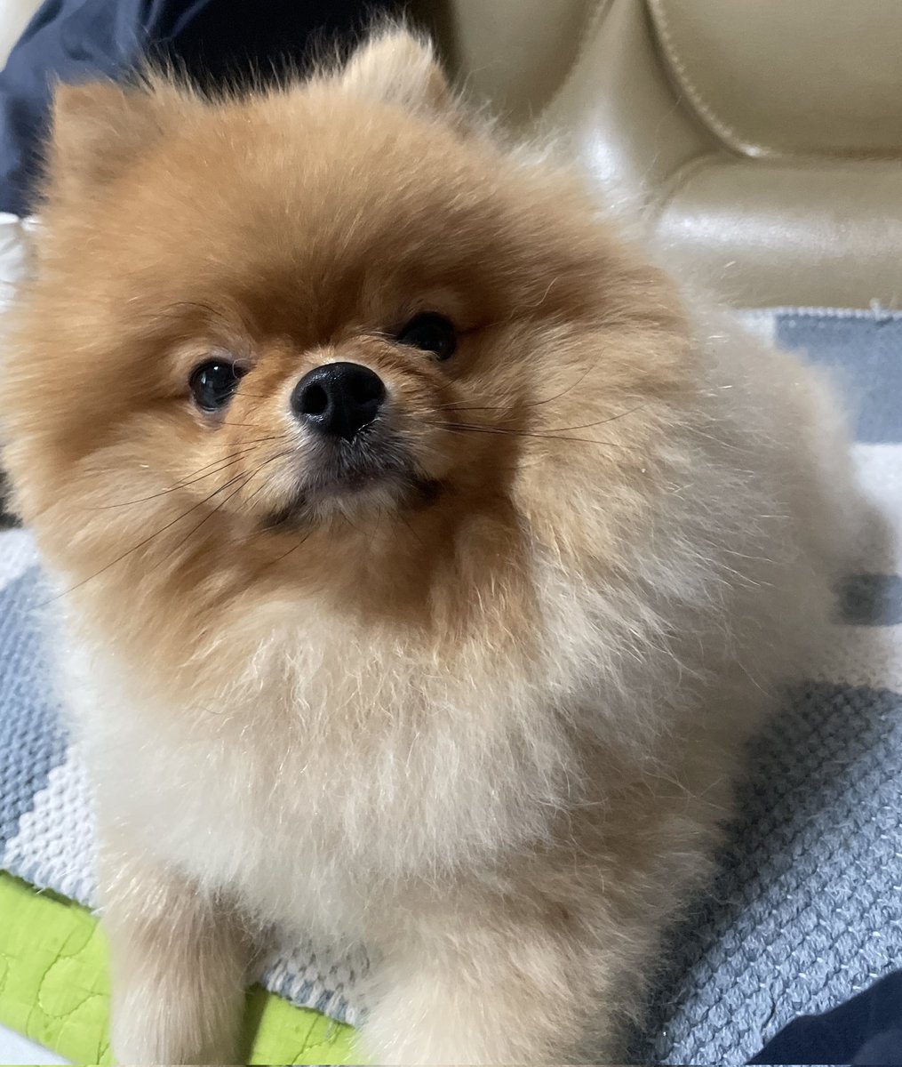 dprobio's tweet photo. 꺼드럭 https://t.co/IhWvGdUb2d