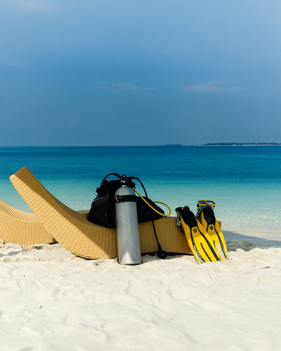 bangaramihcl's tweet photo. Where turquoise deepens into a world alive with colour.
At #BangaramIsland, guided diving experiences uncover coral-lined depths, vibrant tropical marine life and the quiet wonder of the Arabian Sea in all its untouched beauty.

Click on the link in bio.

#SeleQtions #Lakshadweep https://t.co/5eDfkUhyKP