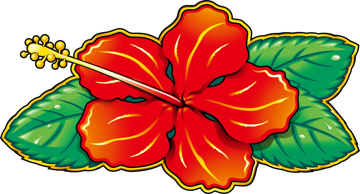 slot_pioneerPR's tweet photo. 光って嬉しい🌺は数多くあれど…

消灯して嬉しい🌺は「スマート沖スロ　ダークハイビ」だけではないでしょうか🤔？

ぜひ"闇に染まる瞬間"をご体感ください(*'ω'*)

（消えてうれしいなら「魔法のハイビスカス」もありましたが🕯🌺） https://t.co/yCA0QslGcM