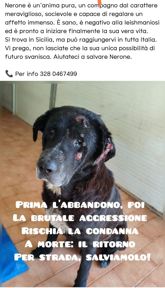 FiorellaArcodi1's tweet photo. Aiutatemi ad aiutare https://t.co/lJkMjMQ6ZS