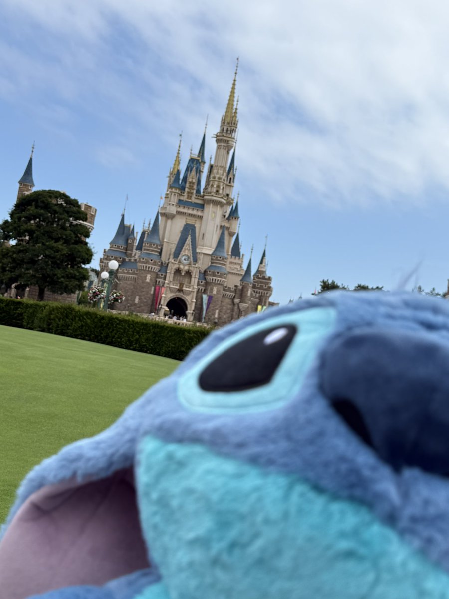 aqua_7757's tweet photo. 1年3ヶ月🥰

新生活にも慣れてきて予定つめつめの毎日だけど、毎月ディズニー計画ほんとに生きる希望になってくれてほんとに嬉しい♡

スティッチがいっそう好きになったひと月でした😌

来月もよろしゅう😎 https://t.co/kRrOqGg3fr
