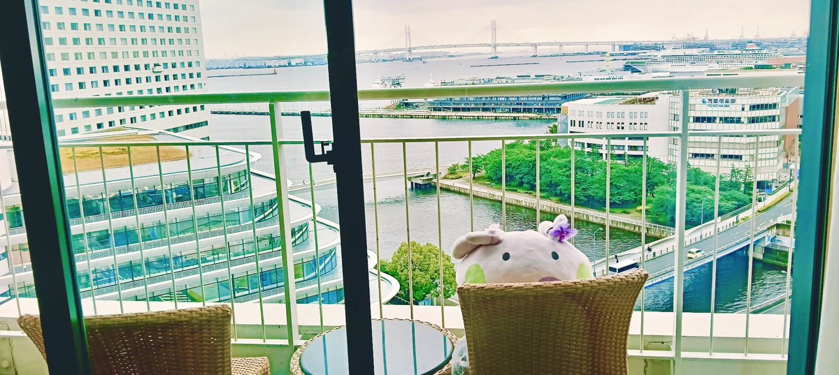 kisaki1025neko's tweet photo. もちりっちヌメラ、横浜お泊まり大満喫しました🎡 https://t.co/KekLF2SG5d