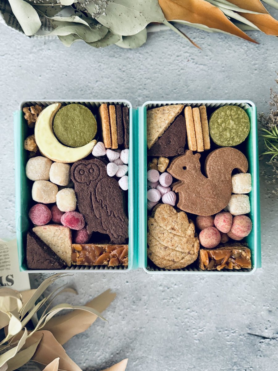 hanedablog's tweet photo. ／
お中元・夏ギフトに大人気🌻
＼

e℃洋菓子🍪自慢の🐿️
「リスと戯れる森のクッキー缶」
と🦉🌙
「福を呼ぶフクロウとお月さまのクッキー缶」の
贅沢な二缶セットを
お取り寄せしませんか？

開けた瞬間に歓声が上がる
ような可愛いモチーフと、
職人が丁寧に焼き上げた
こだわりの美味しさを
ぎゅっと詰め込みました♡

お世話になった方への
感謝を伝えるギフトとしては
もちろん、夏の帰省の
手土産にもぴったりです☆

▼詳細・ご購入はこちらから👇
https://t.co/27pSsun6V6