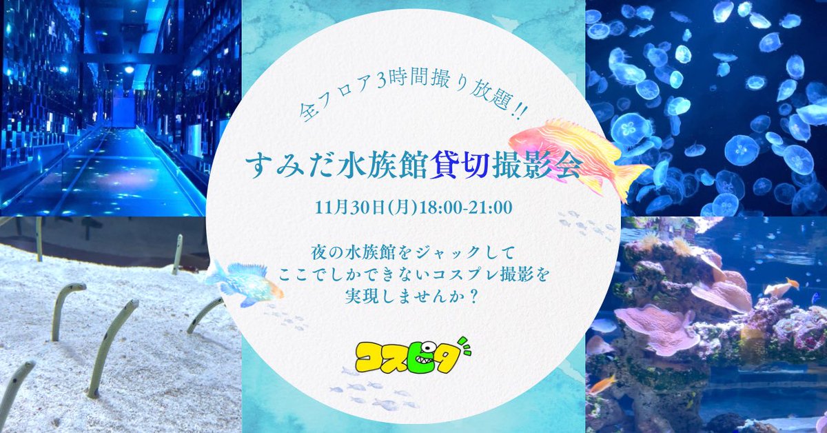 cospitaofficial's tweet photo. 🐟11/30(月)すみだ水族館貸切撮影会🐟

【チケット販売開始】
https://t.co/LNp6KpIzkz

※ご購入前に、イベントの注意事項等を必ずご確認ください👀
※⬇️リプ欄の約束ごとも要チェック https://t.co/a4Hs8mNrG7