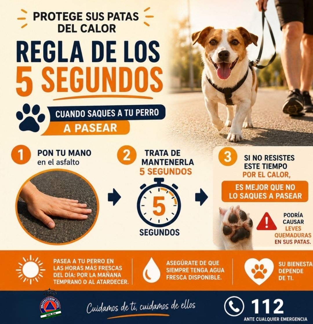 Protección Civil Bailén tweet media